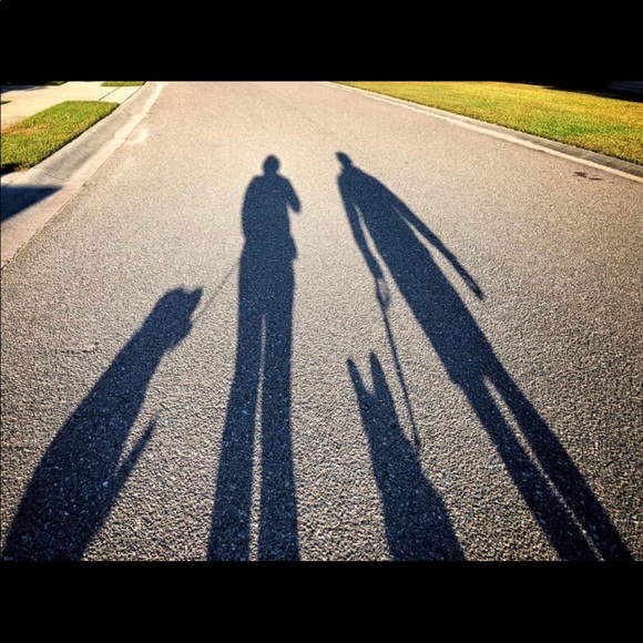 Meet your Posher, Jessi - Picture 4 of 13